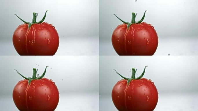 SLO MO水滴落在番茄上