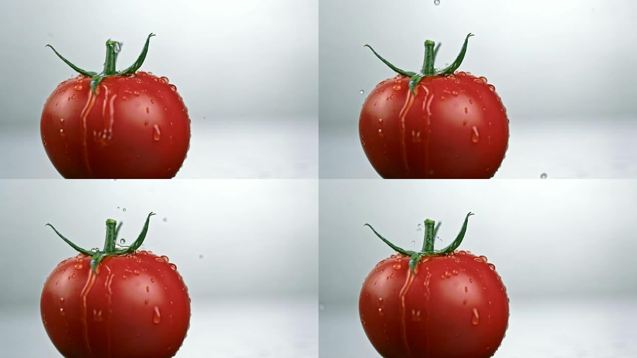 SLO MO水滴落在番茄上