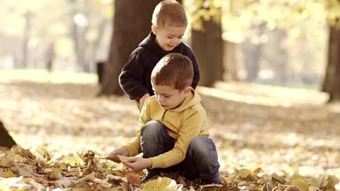 公园里的孩子们公园里的孩子们落叶秋天