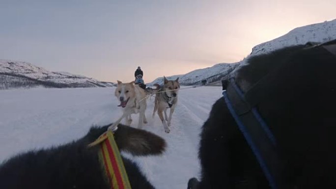 SLO MO WS雪橇狗与一群游客拉雪橇