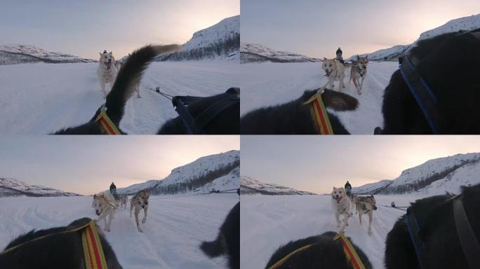 SLO MO WS雪橇狗与一群游客拉雪橇