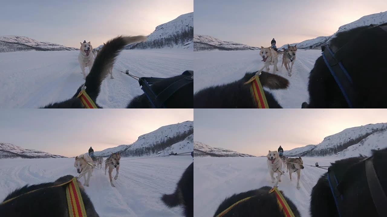 SLO MO WS雪橇狗与一群游客拉雪橇