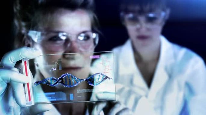 科学家对DNA的结构进行分类。