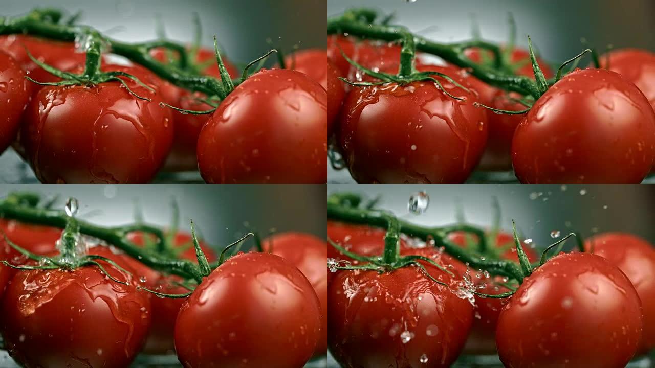SLO MO CU滴落在一堆西红柿上