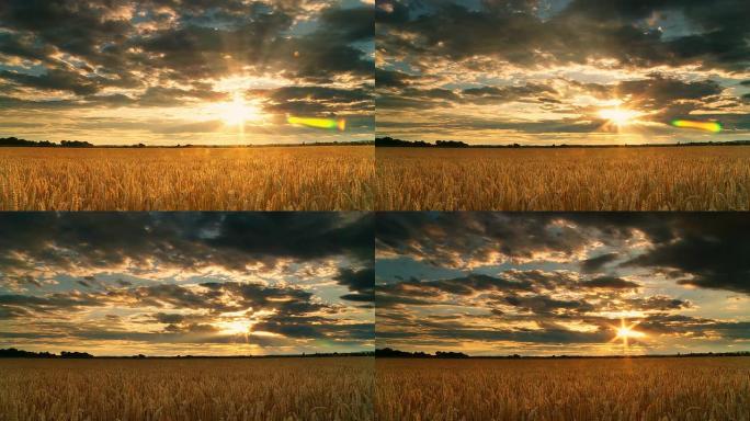 HD TIME LAPSE：麦田上空壮丽的日落云景