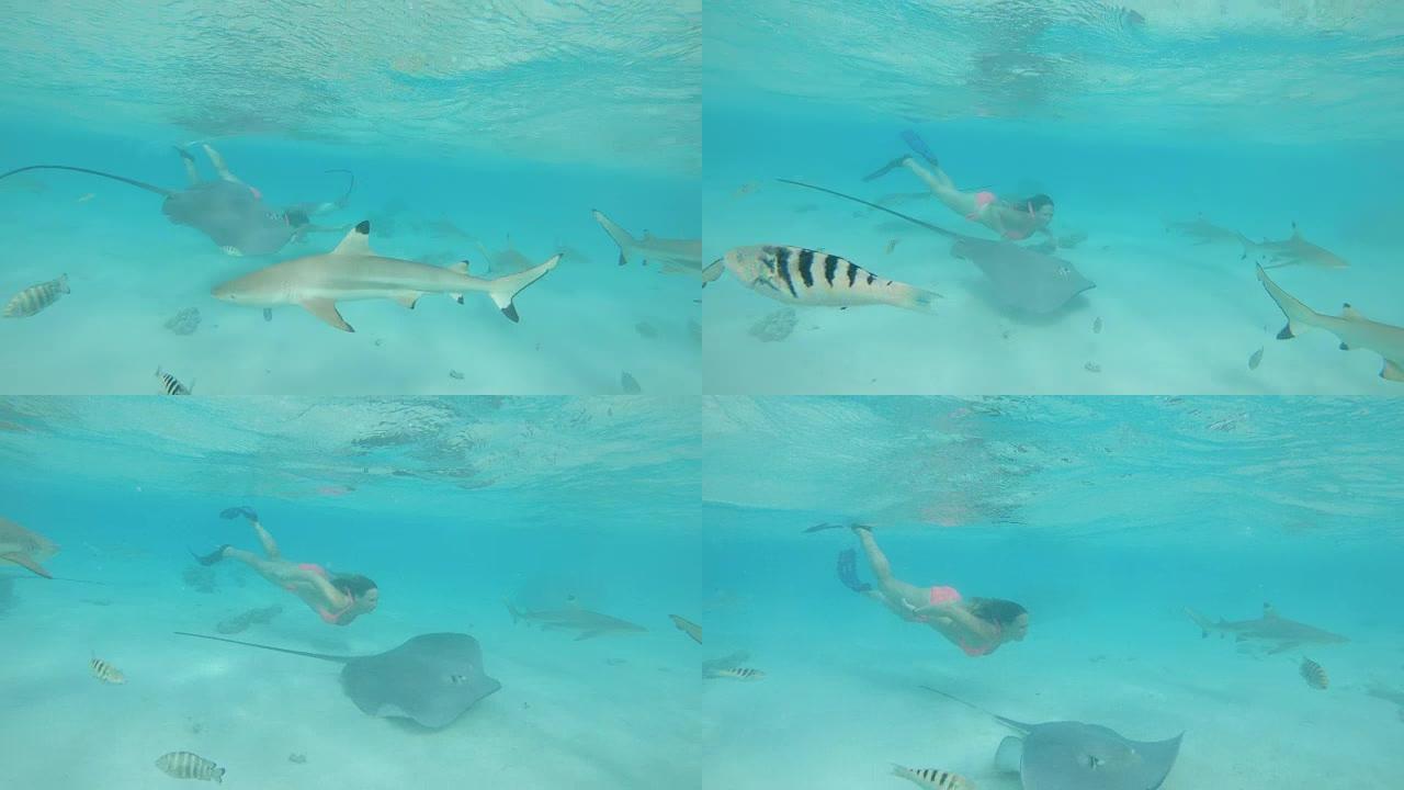 水下: 冒险的女人在充满热带野生动物的海洋中游泳。