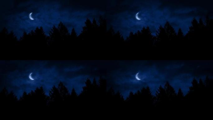 森林上方的新月弯月深夜月光深夜月亮