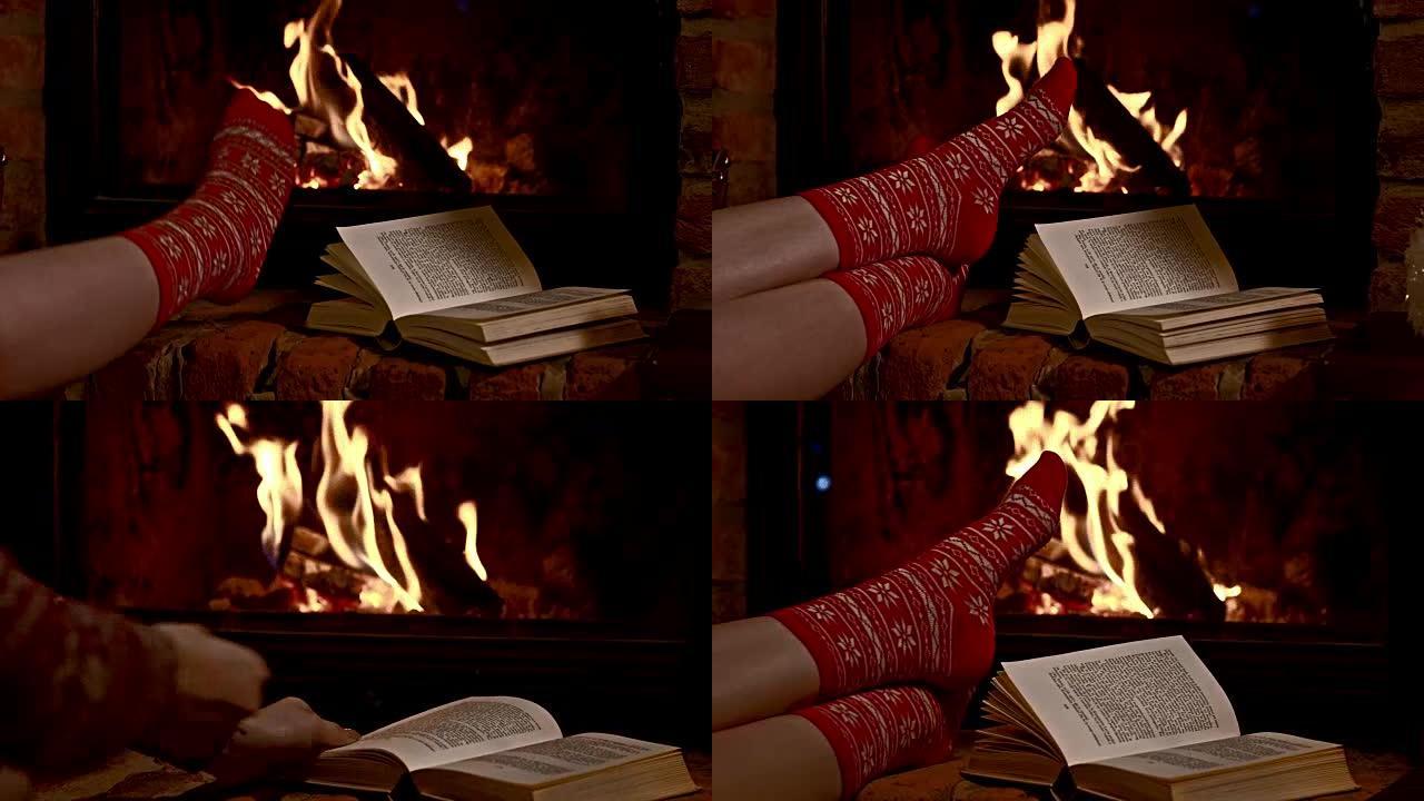 DS女人在壁炉旁看书