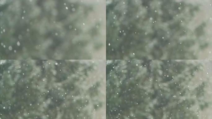 高清慢速运动：雪花飘落