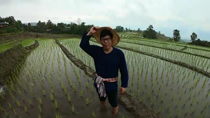 涂农夫下雨时高兴水稻田