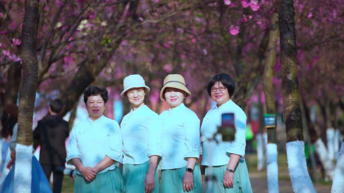 圆通山人流 昆明  樱花节 樱花游客