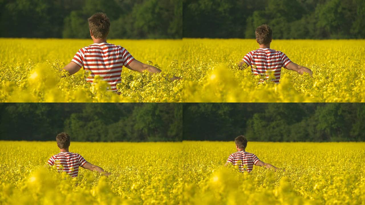 HD：一名男子穿过一片黄色的花丛