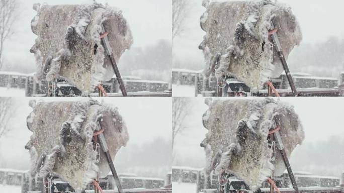 挂在雪橇上的鹿皮