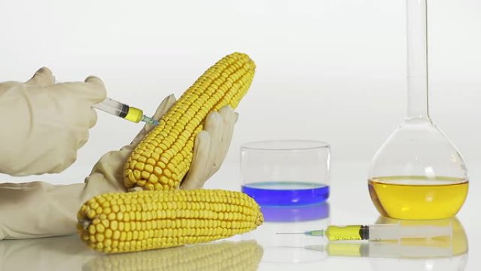 HD DOLLY: 对玉米基因组进行基因修饰