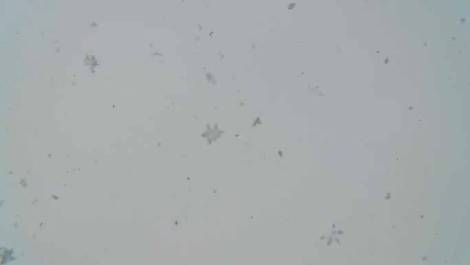 HD：挡风玻璃上的积雪