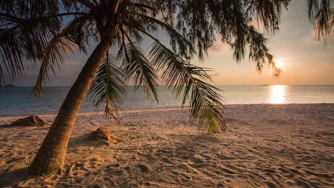 海椰子棕榈唯美海岛黄昏海边