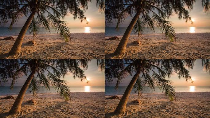 海椰子棕榈唯美海岛黄昏海边