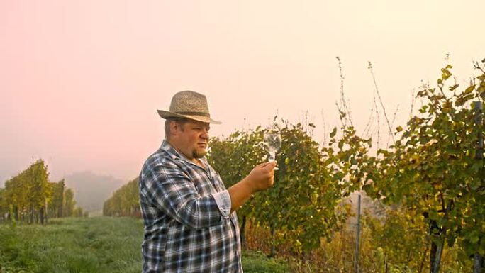 WS葡萄酒种植者检查葡萄酒质量