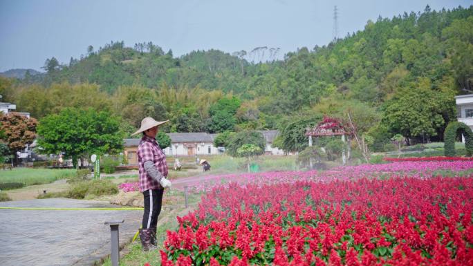 4k田园花园公园花卉浇水人物唯美意境