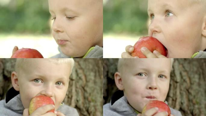 正在吃红苹果的男孩