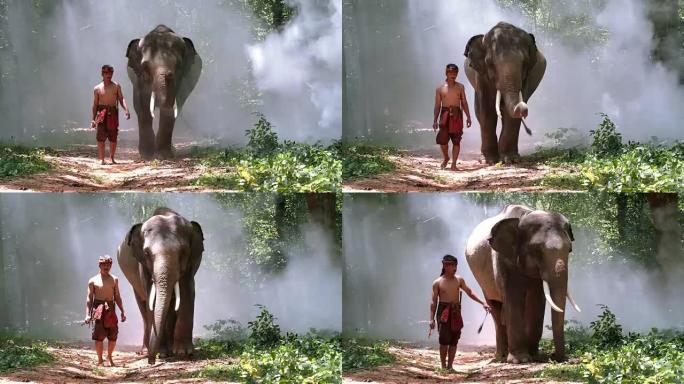 年轻人与可爱的大象同行。