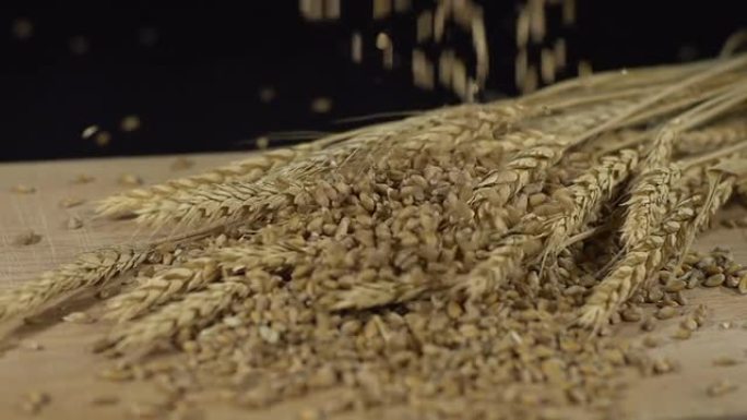 HD SUPER SLOW-MO：谷粒落在小麦穗上