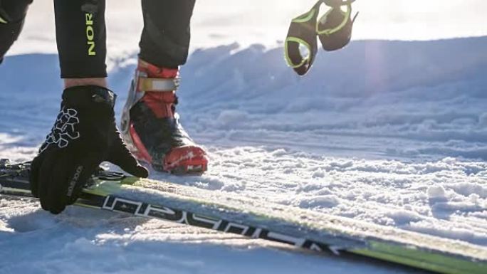 越野滑雪者将滑雪板放在雪上