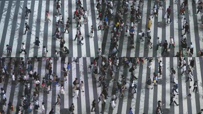 在人行横道上行走的人加速高角度/自上而下拍摄。晚上人行横道上挤满了人的大城市。