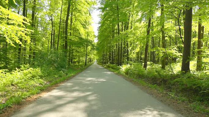 高清: 穿越绿色森林的道路