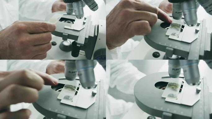 科学解答好奇心实验试验室显微镜