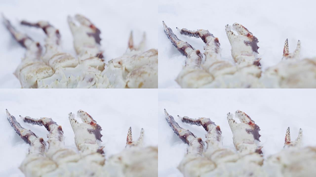ECU帝王蟹躺在雪地里