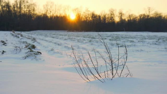 HD DOLLY：黄昏的冬季景观