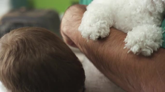 小兽医和狗白色小泰迪玩耍启蒙家庭生活