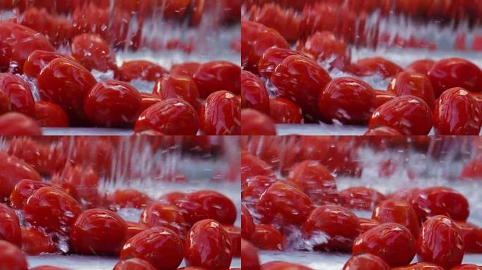 在工业西红柿中，红色西红柿进入装满水的水箱中，从泥土和碎屑中洗净，然后完全干净。