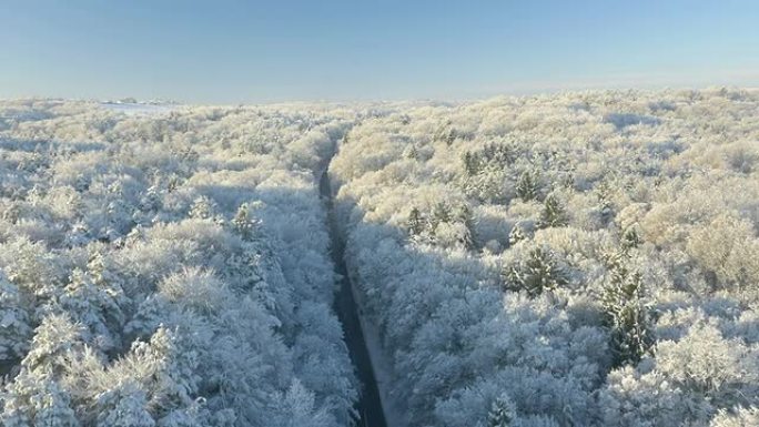 冬季穿越森林的空中公路