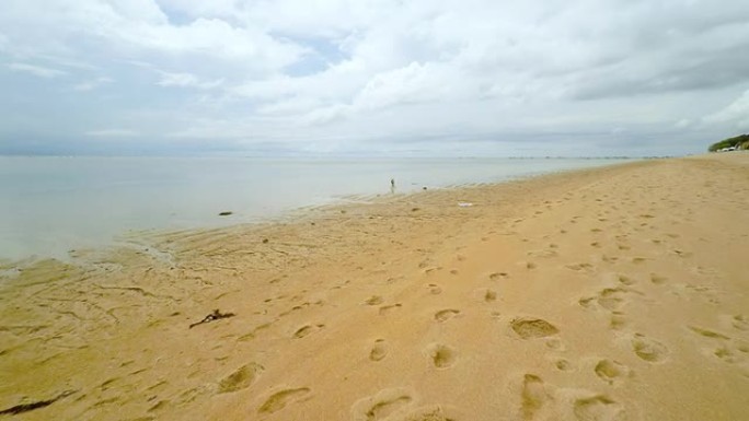 巴厘岛海滩上的空中飞狗