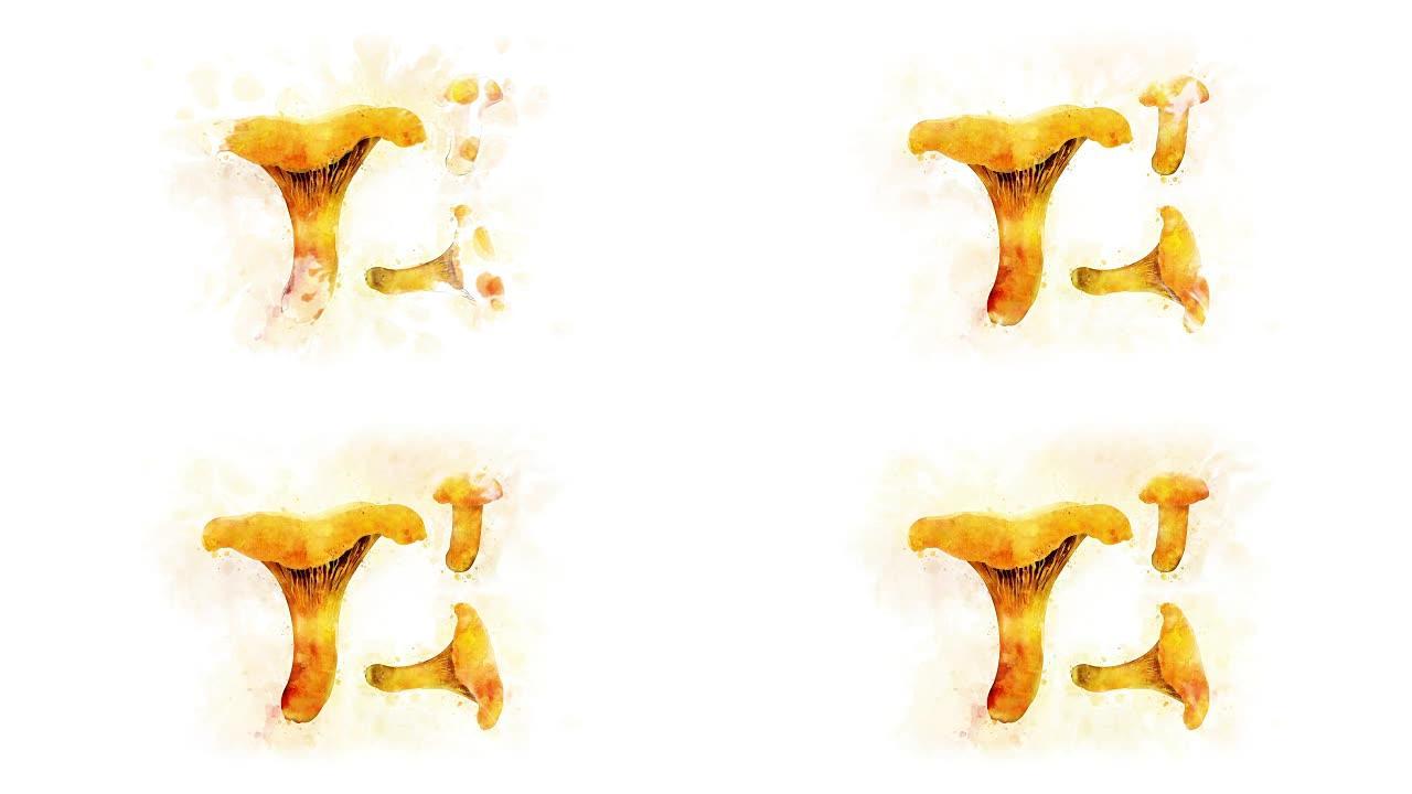 动画插图的歌手蘑菇