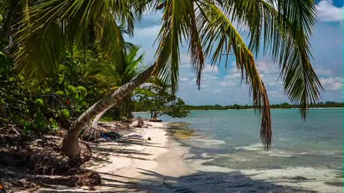 古巴: 旅行: 古巴天堂海滩的风景