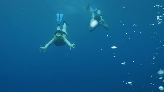 情侣向相机游泳的水下镜头