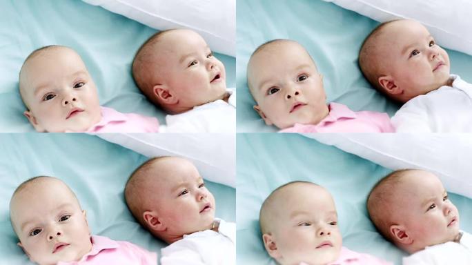 同卵双胞胎双胞胎婴儿小宝宝