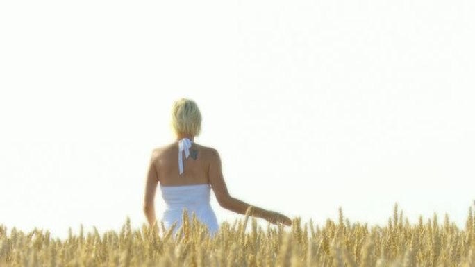 高清慢速动作：女人在小麦里行走