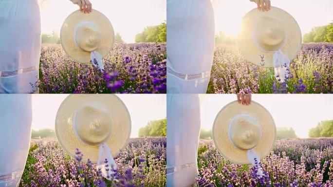 SLO MO女人拿着她的太阳帽在薰衣草的田野