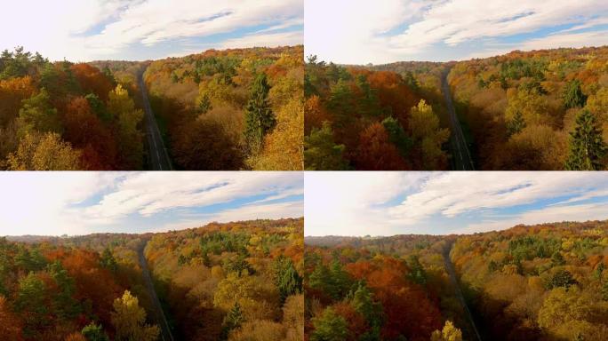 秋季晴天穿越森林的空中道路