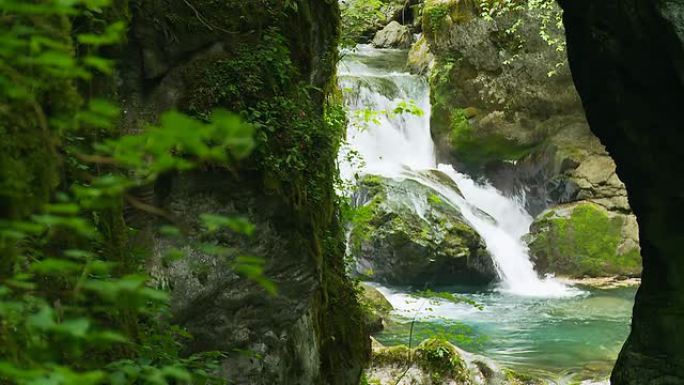 高清：绿色森林中的美丽瀑布