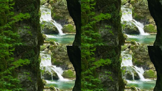 高清：绿色森林中的美丽瀑布