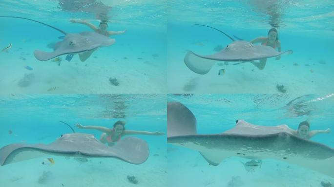 水下，特写: 好奇的小鲨鱼和黄貂鱼向摄像机游去。
