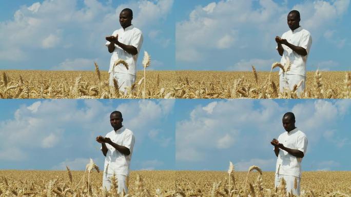 HD DOLLY:非洲农民在他的田里