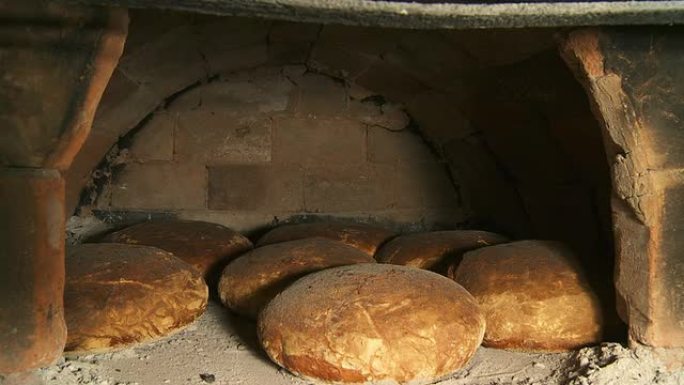 HD DOLLY：砖炉烤面包