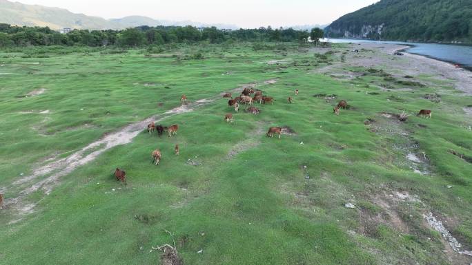 航拍桂林山水