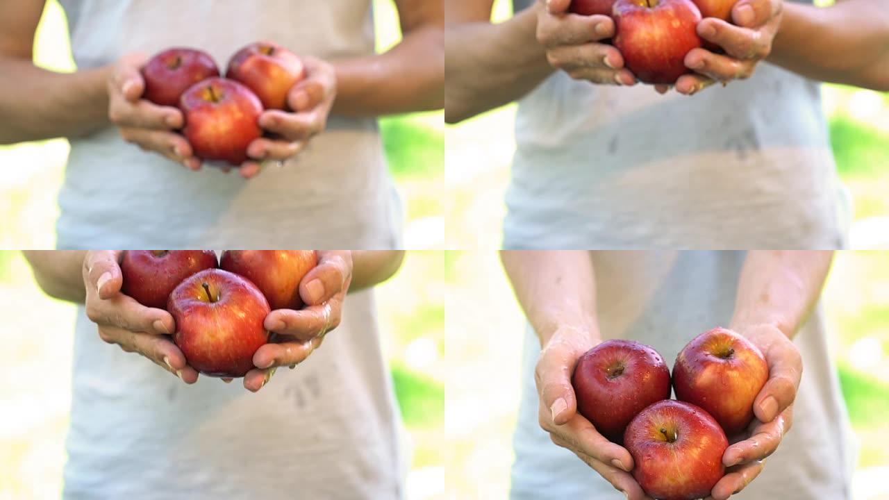 苹果农夫-慢动作苹果农夫